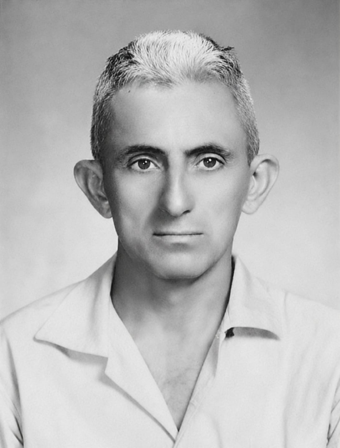 1ª geração da família Tavares